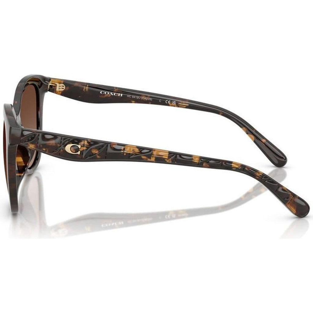 HC8419U, Dark Tortoise/Brown Gradient Polarised Lenses