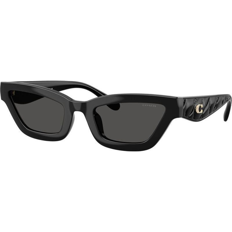 HC8420U, Black/Grey Lenses