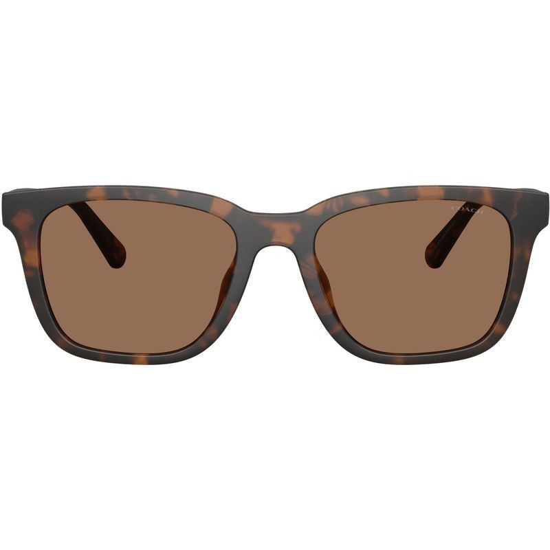 HC8426U, Matte Dark Tortoise/Brown Lenses