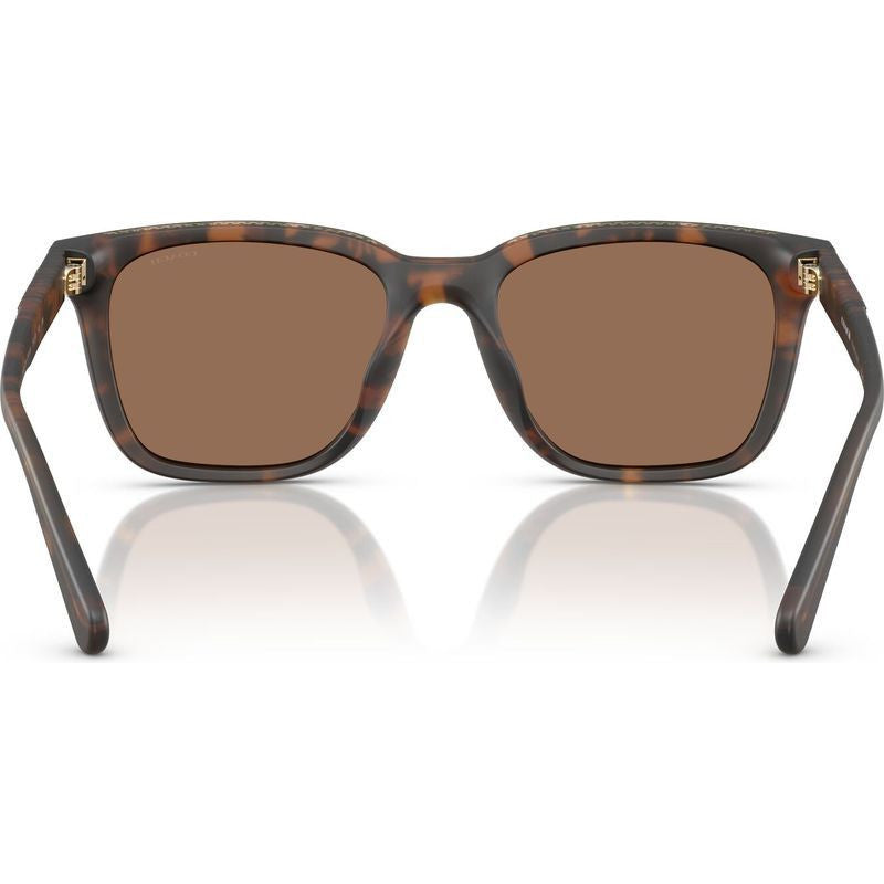 HC8426U, Matte Dark Tortoise/Brown Lenses