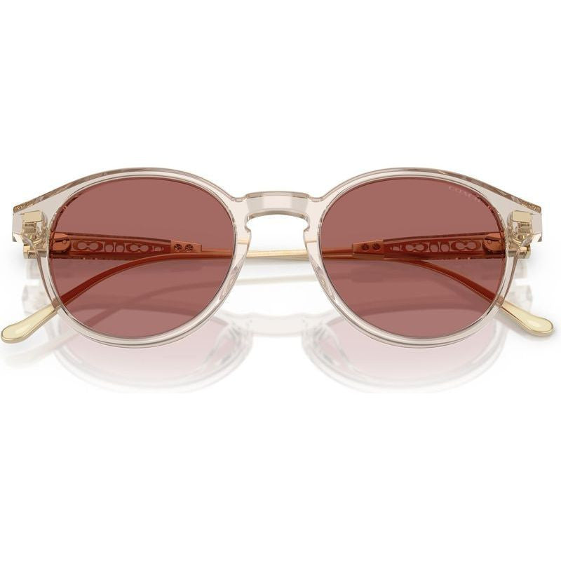 HC8428U, Transparent Sand/Wine Lenses
