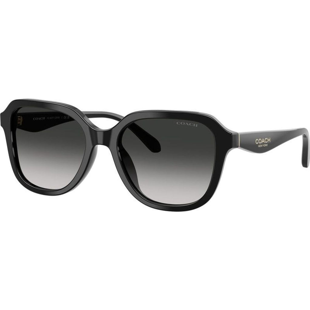 HC8437F, Black/Grey Gradient Lenses