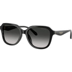 HC8437F, Black/Grey Gradient Lenses