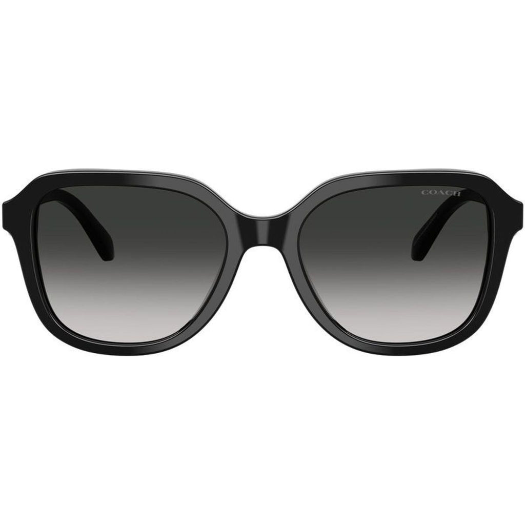 HC8437F, Black/Grey Gradient Lenses