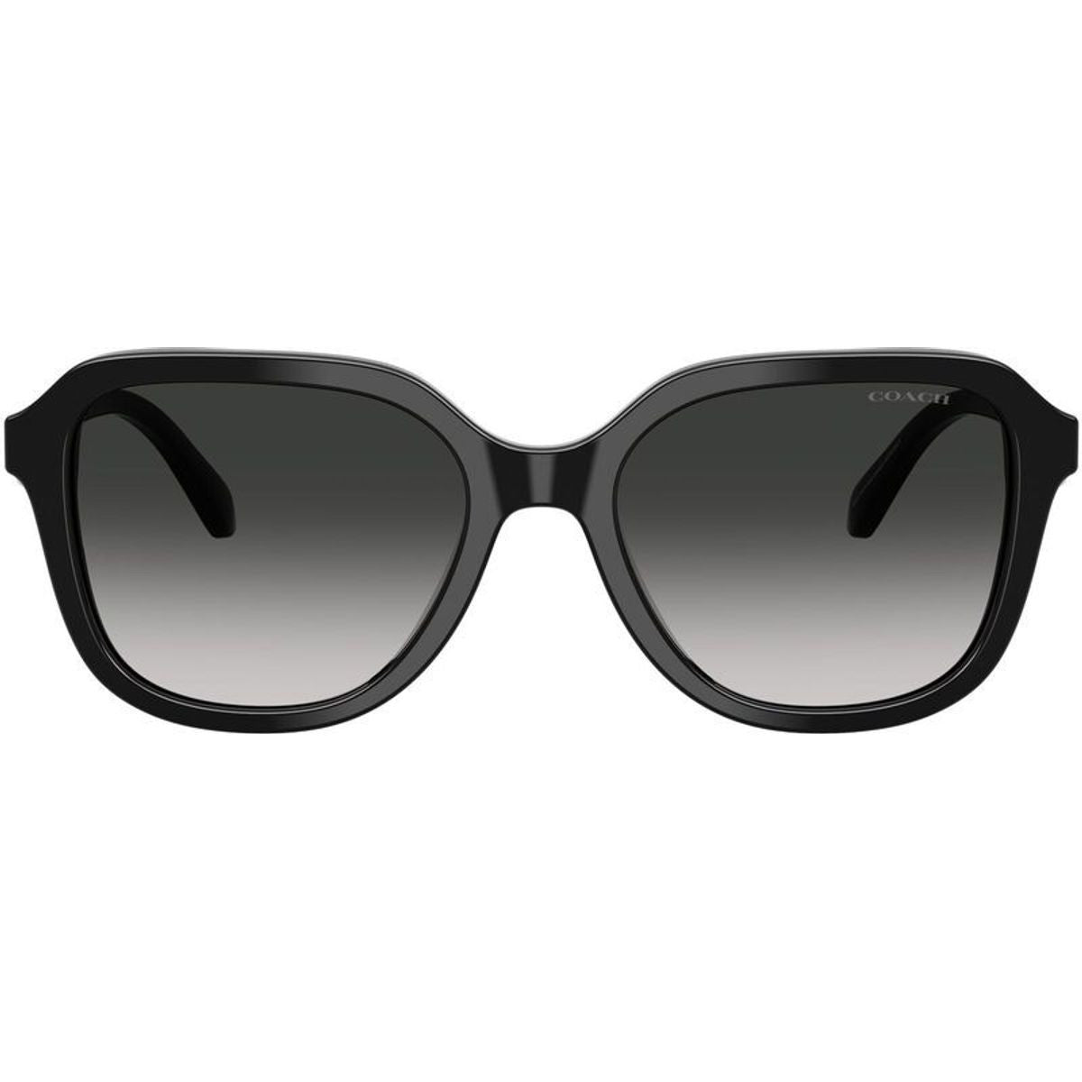 HC8437F, Black/Grey Gradient Lenses