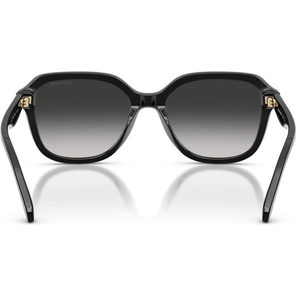 HC8437F, Black/Grey Gradient Lenses