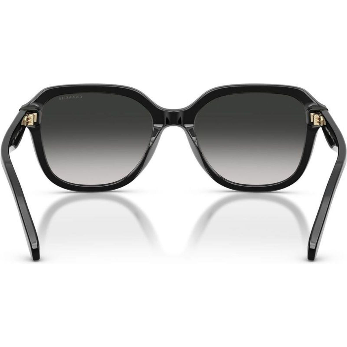 HC8437F, Black/Grey Gradient Lenses