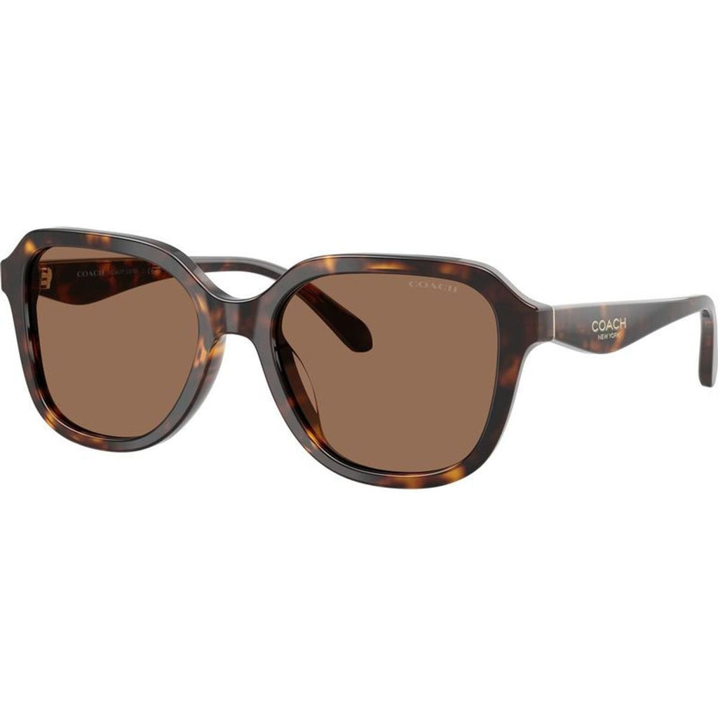 HC8437F, Dark Tortoise/Brown Lenses