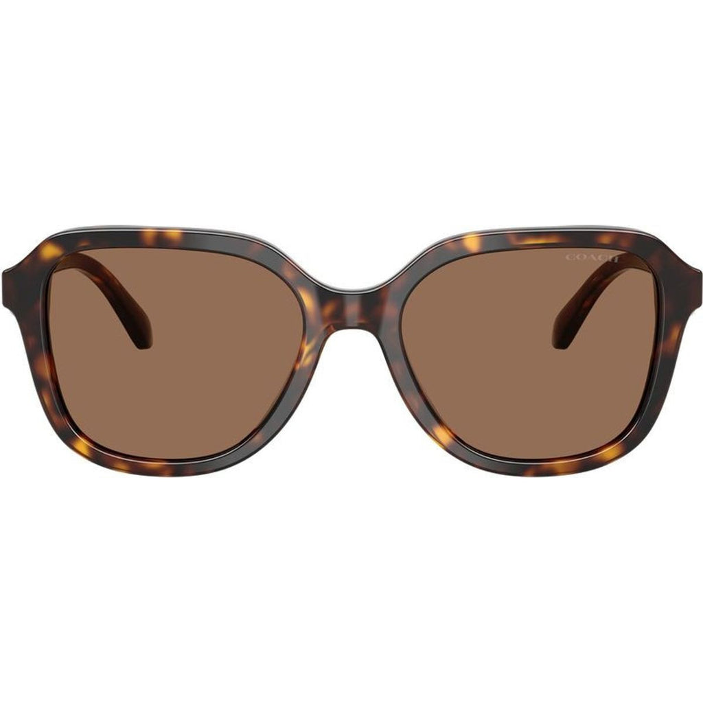 HC8437F, Dark Tortoise/Brown Lenses