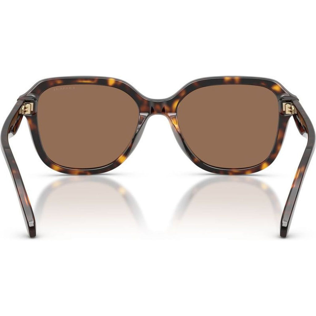 HC8437F, Dark Tortoise/Brown Lenses