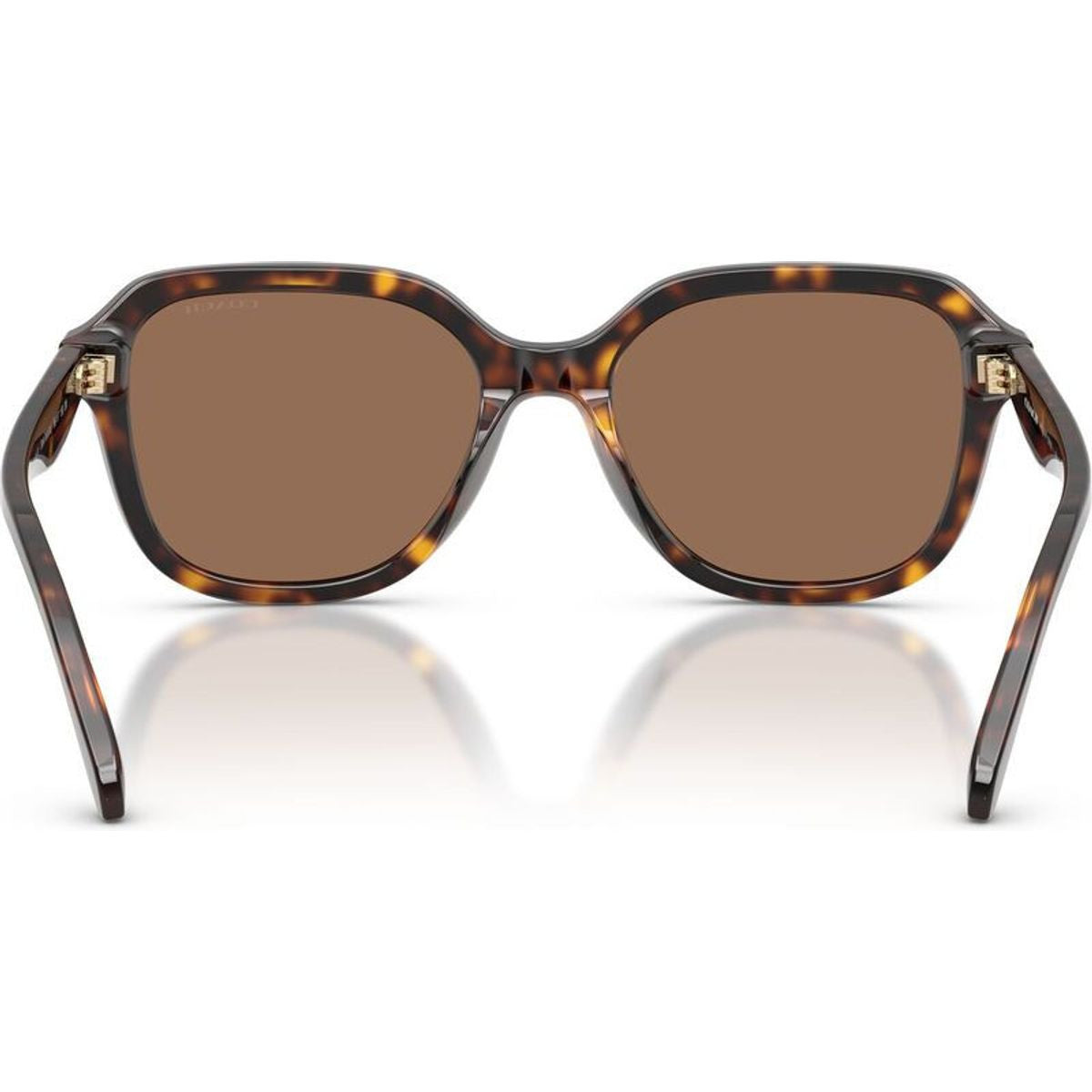 HC8437F, Dark Tortoise/Brown Lenses