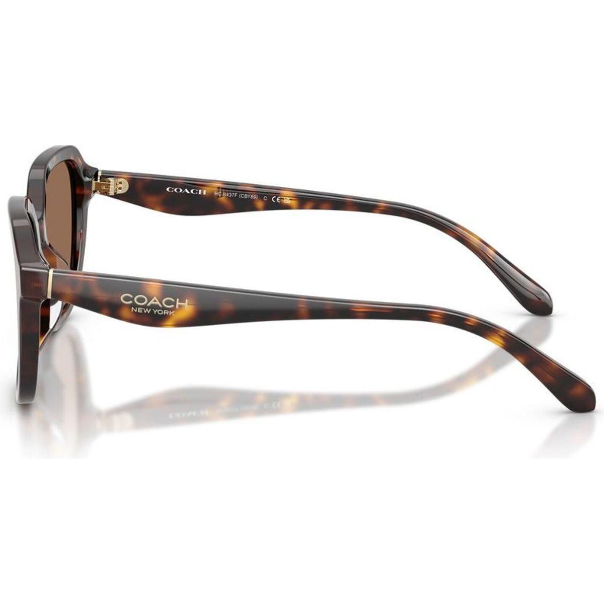 HC8437F, Dark Tortoise/Brown Lenses