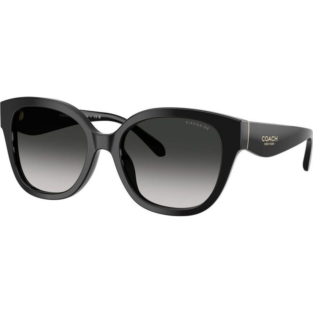 HC8438U, Black/Grey Gradient Lenses