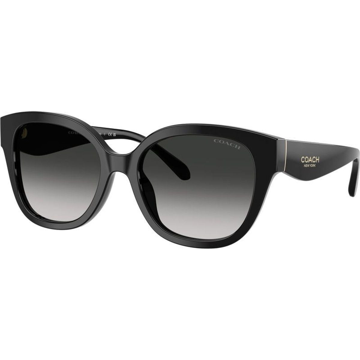 HC8438U, Black/Grey Gradient Lenses