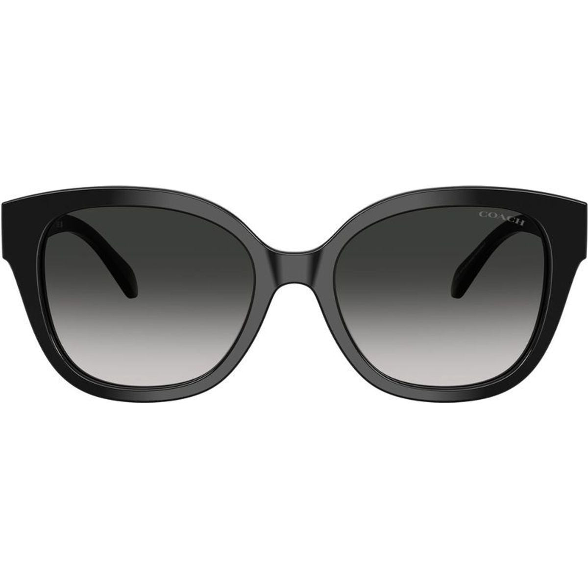 HC8438U, Black/Grey Gradient Lenses