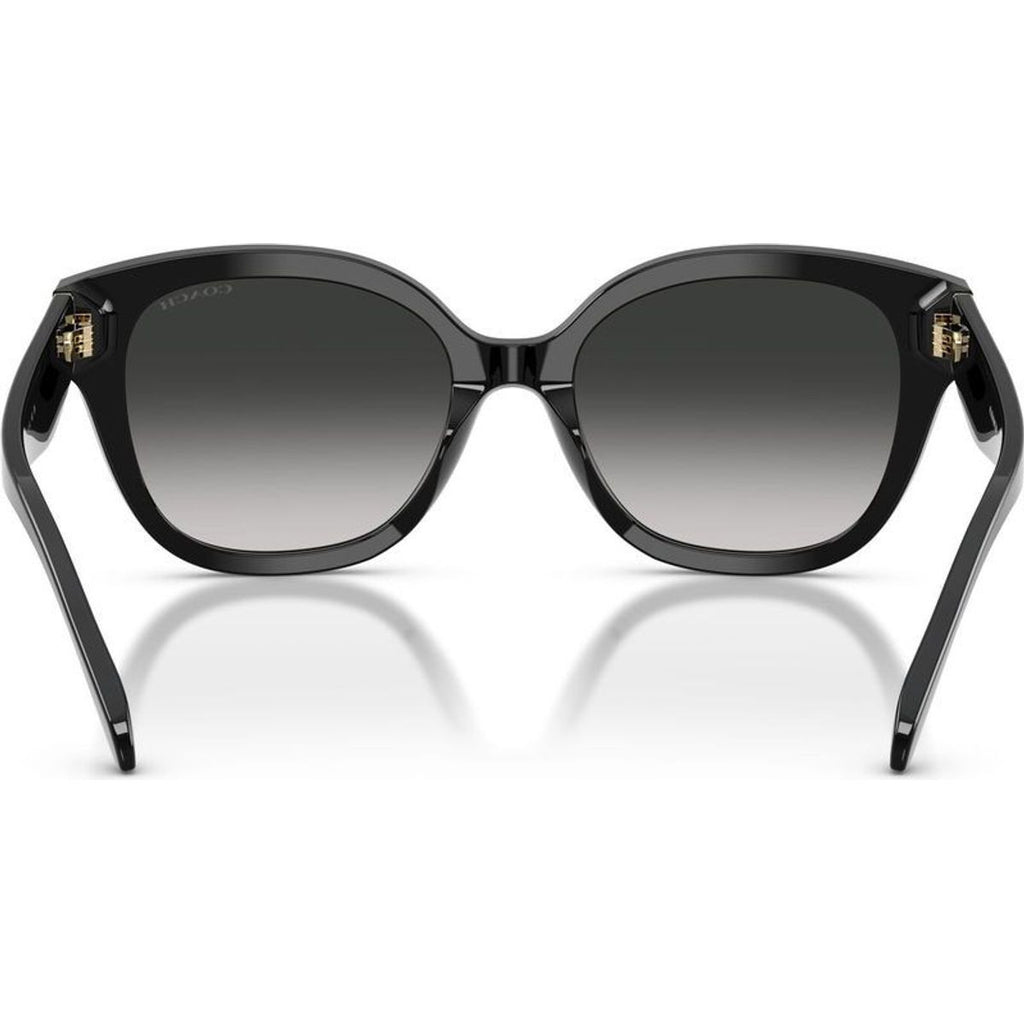 HC8438U, Black/Grey Gradient Lenses