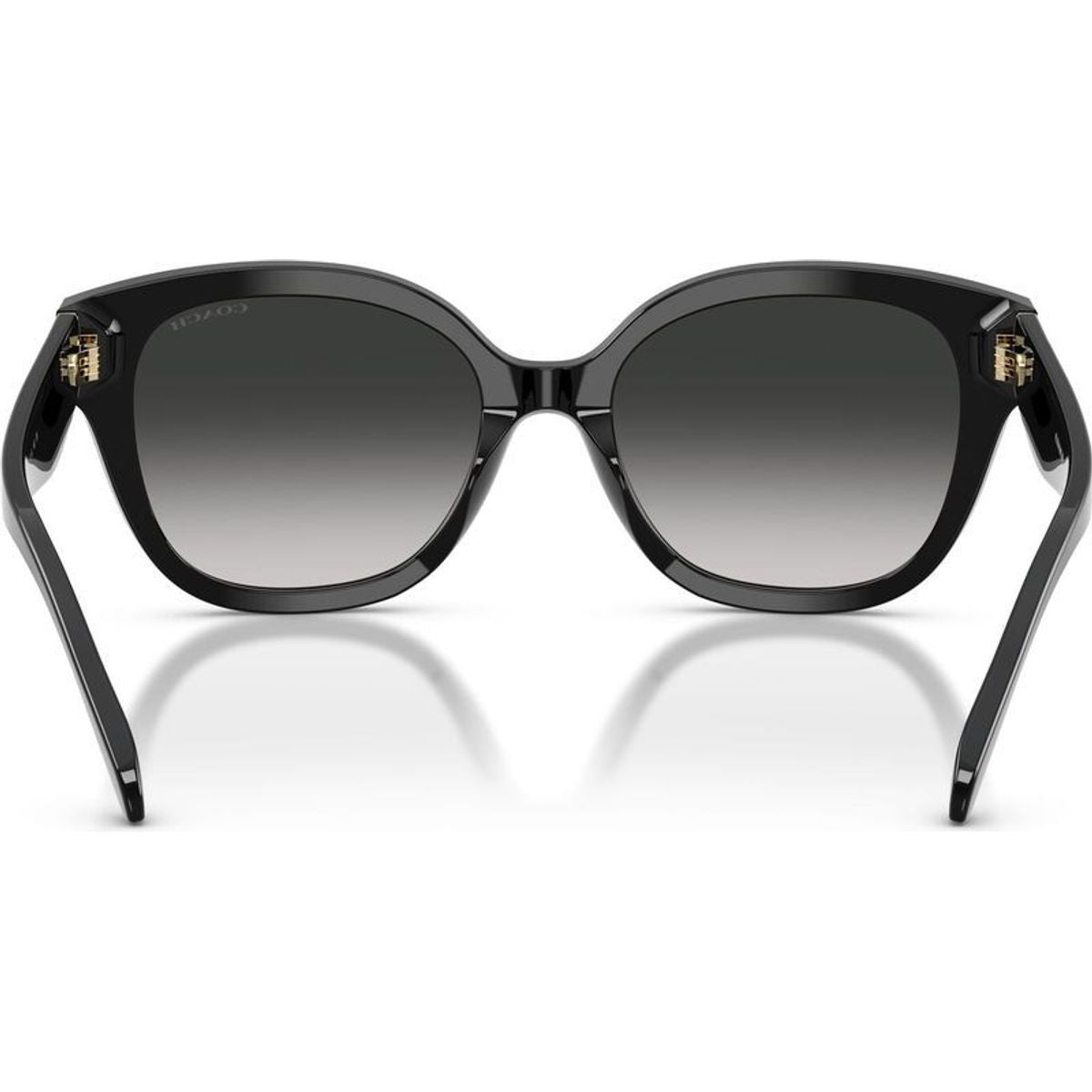HC8438U, Black/Grey Gradient Lenses