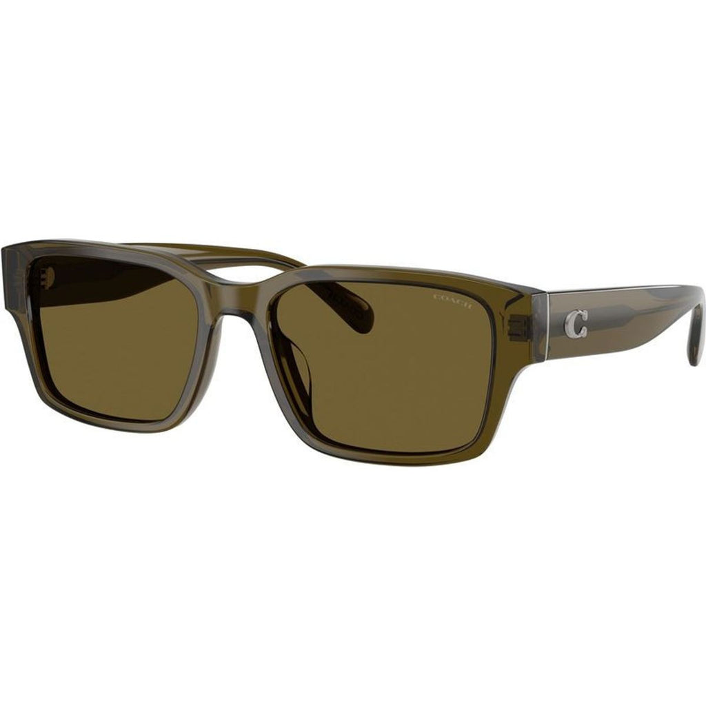 HC8441U, Transparent Olive/Green Lenses