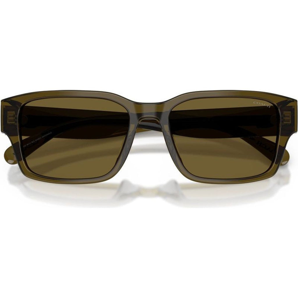 HC8441U, Transparent Olive/Green Lenses