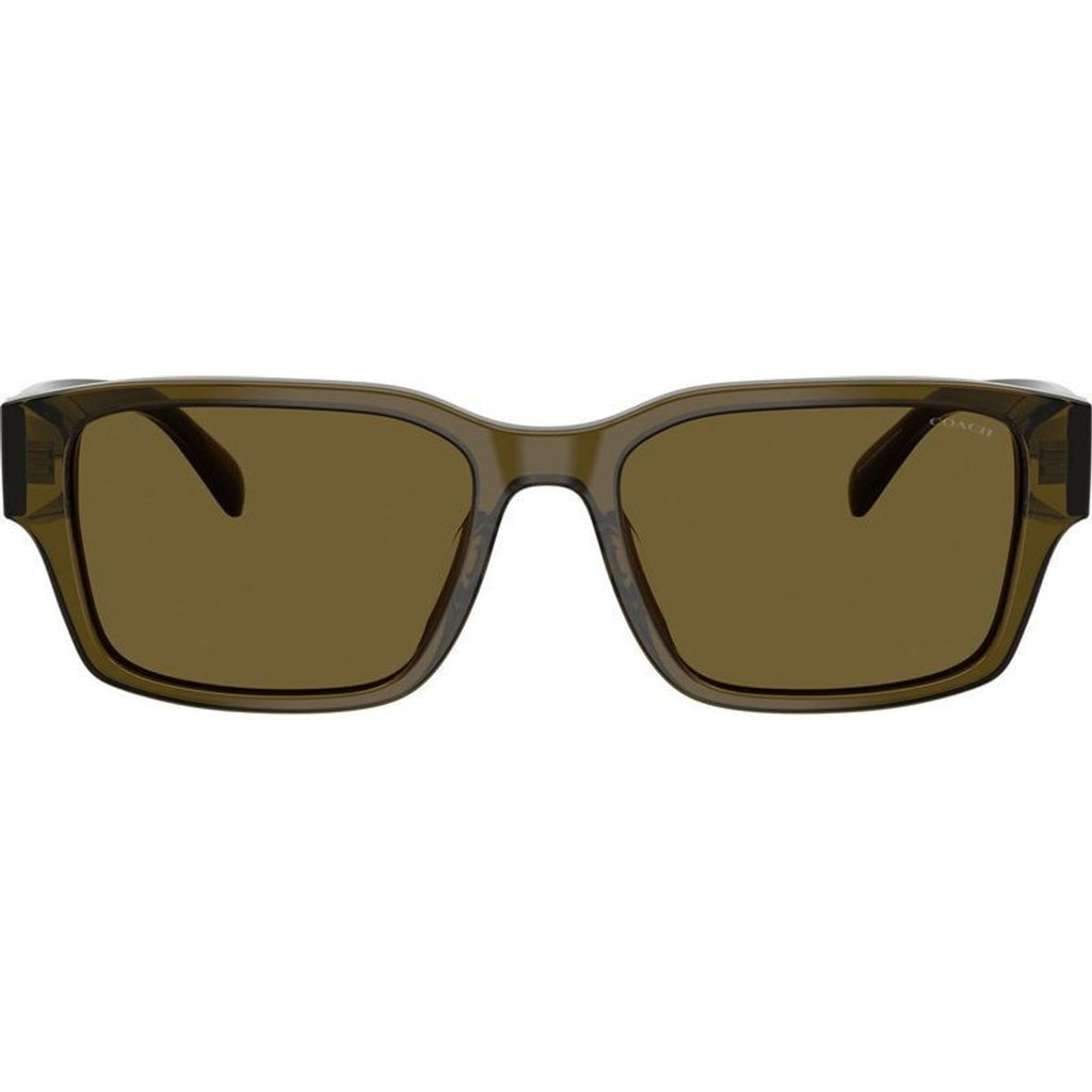 HC8441U, Transparent Olive/Green Lenses