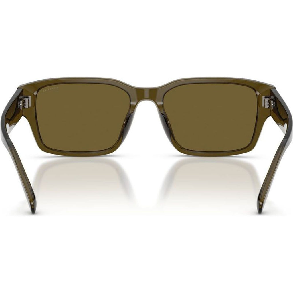 HC8441U, Transparent Olive/Green Lenses
