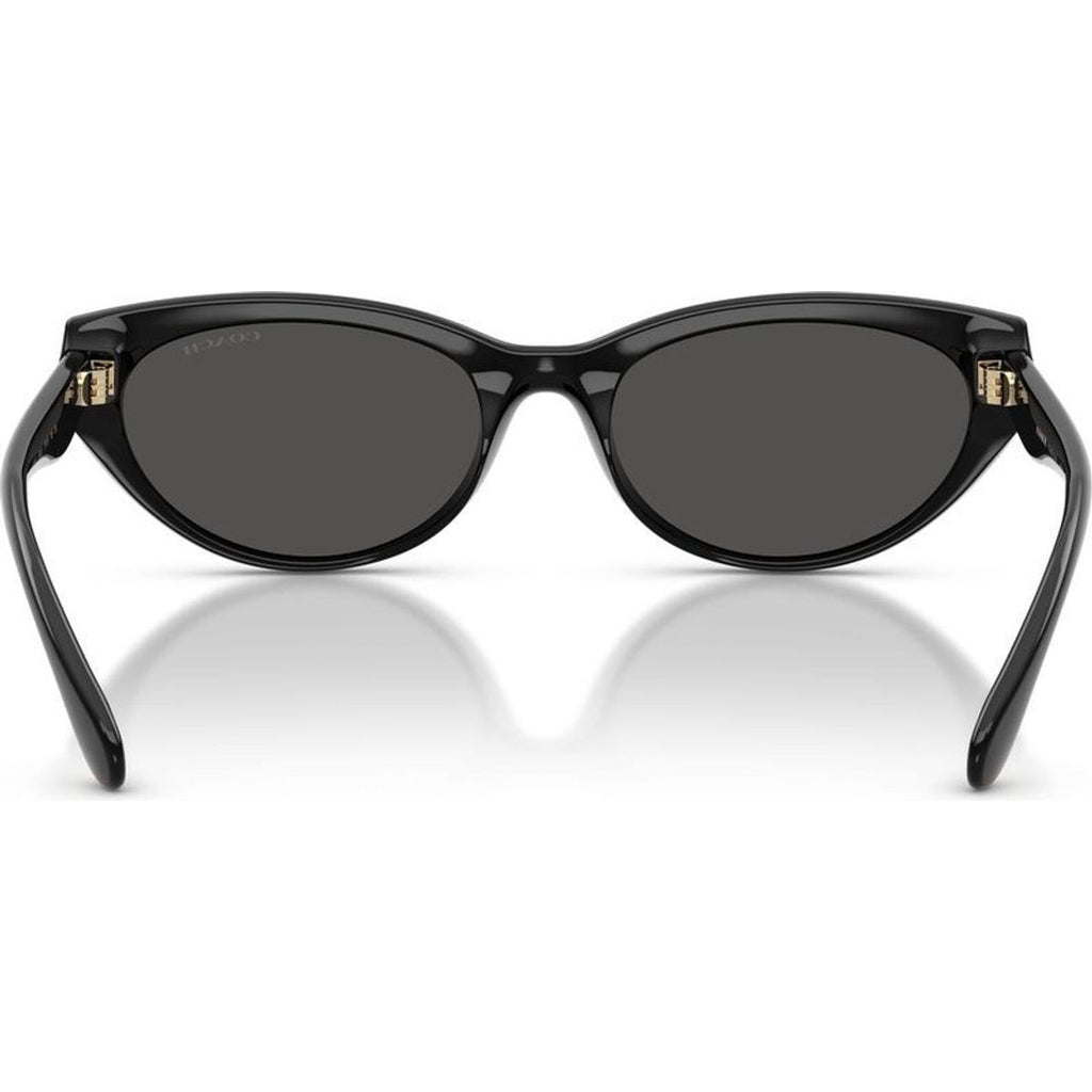 HC8456D, Black/Grey Lenses