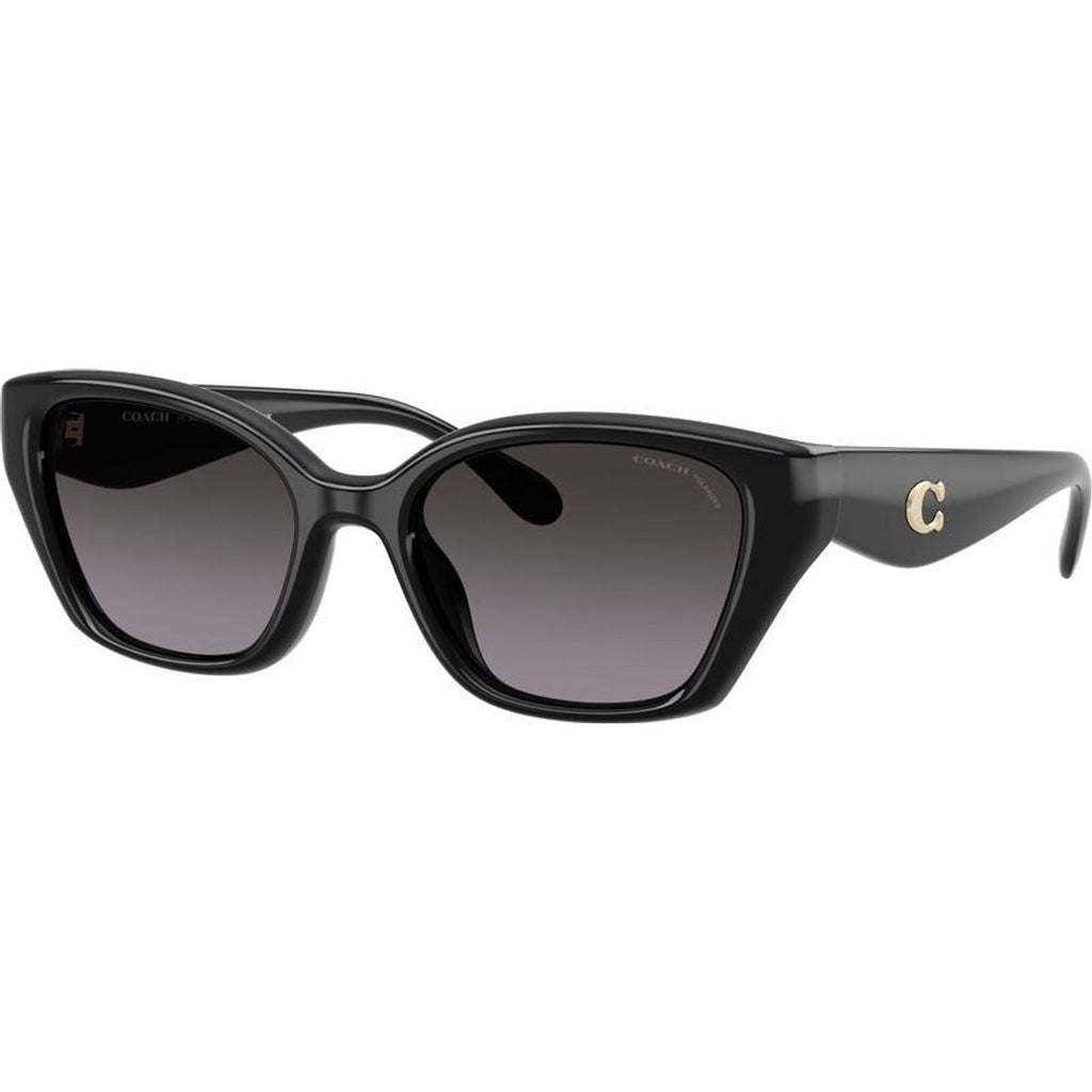 HC8434U, Black/Grey Gradient Polarised Lenses