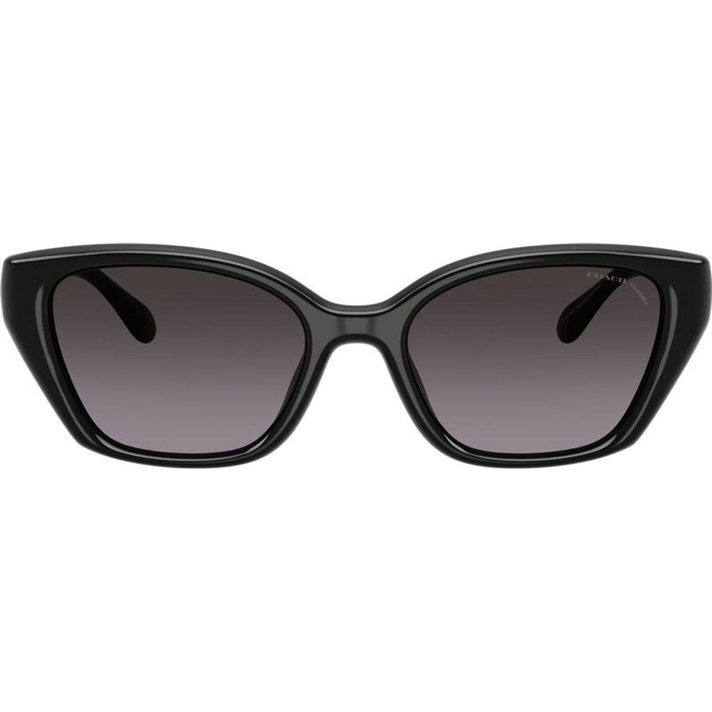 HC8434U, Black/Grey Gradient Polarised Lenses