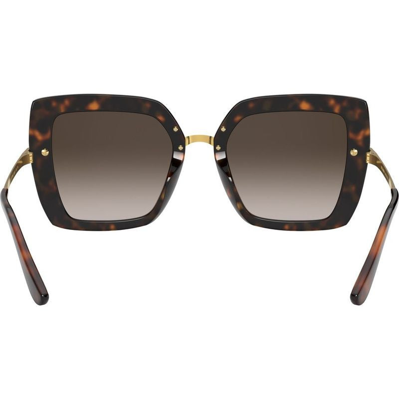 DG4373F, Havana and Pink Carretto/Brown Gradient Dark Brown Lenses