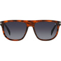 DB 7111/S, Brown Horn/Dark Grey Gradient Lenses