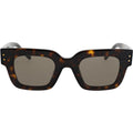 Debella, Havana/Light Brown Lenses