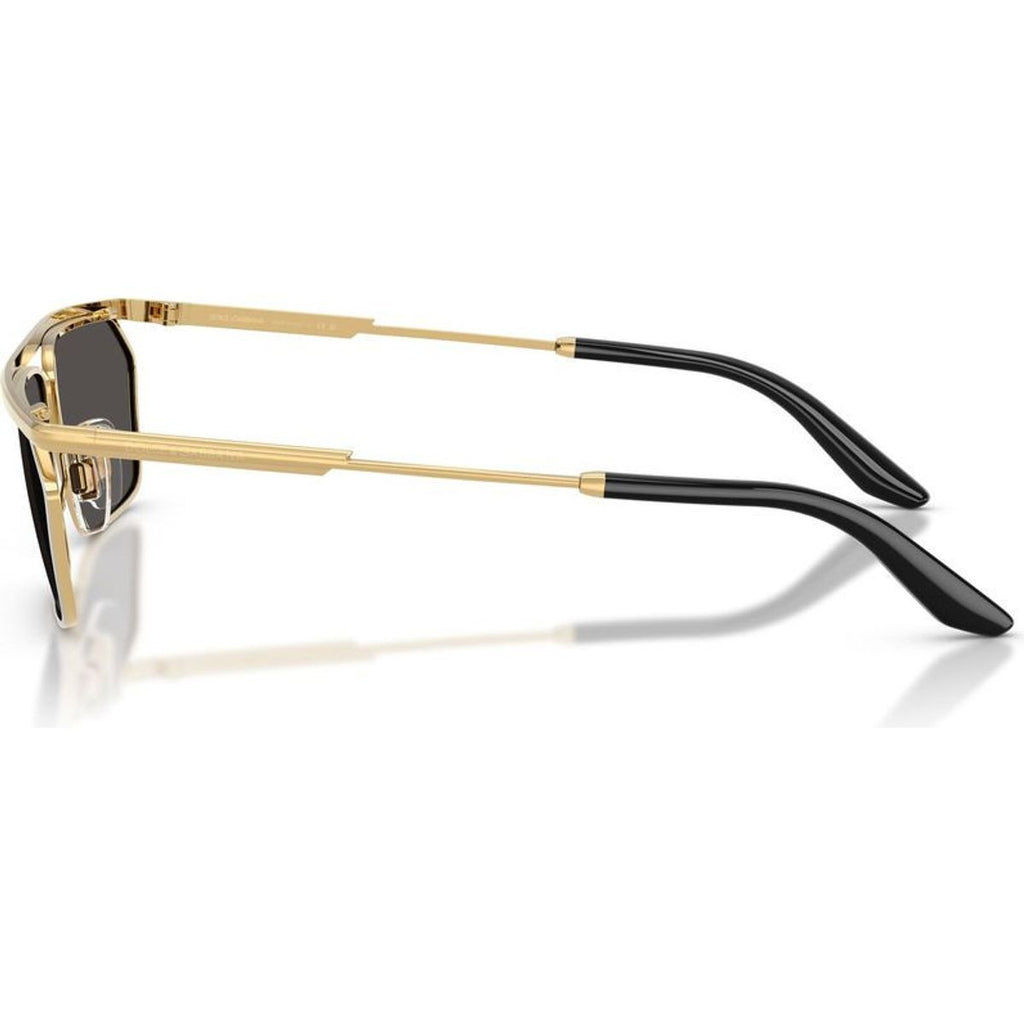 DG2327, Gold and Silver/Dark Grey Lenses