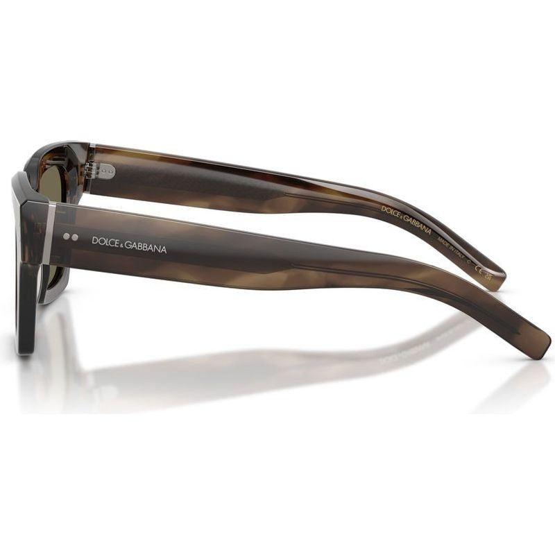 DG4413, Green Havana/Brown Lenses