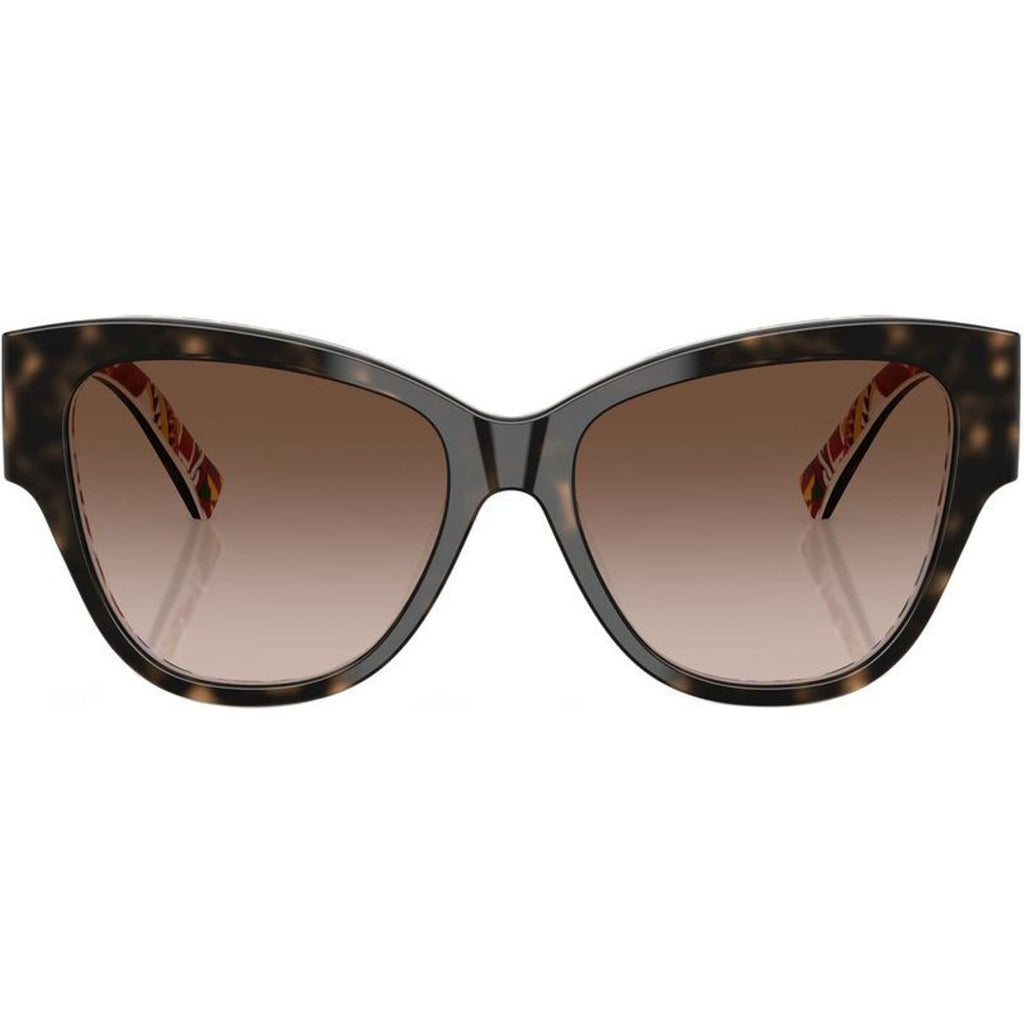 DG4449, Havana and White Barrow/Brown Gradient Lenses