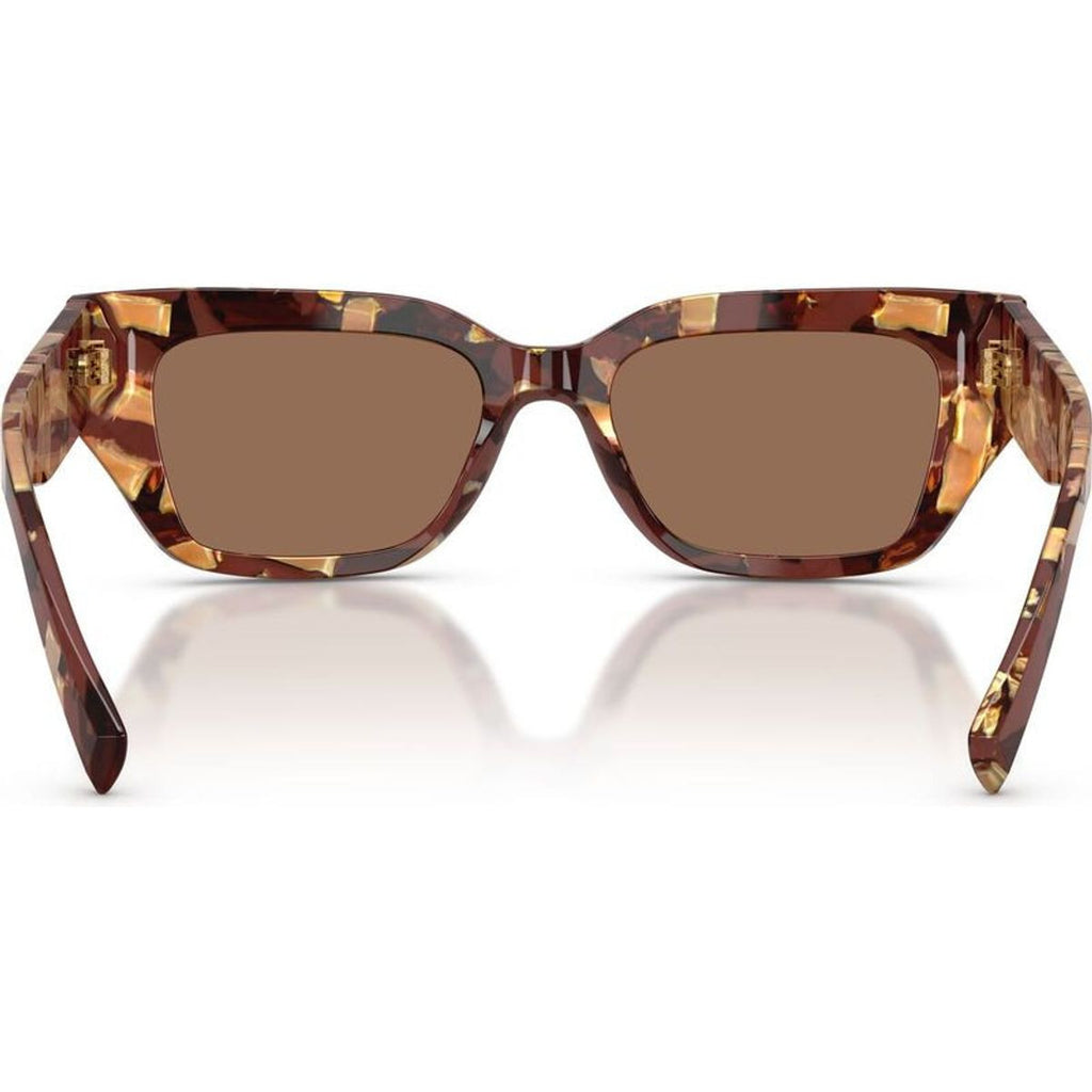 DG4462, Pearl Havana Brown/Dark Brown Lenses