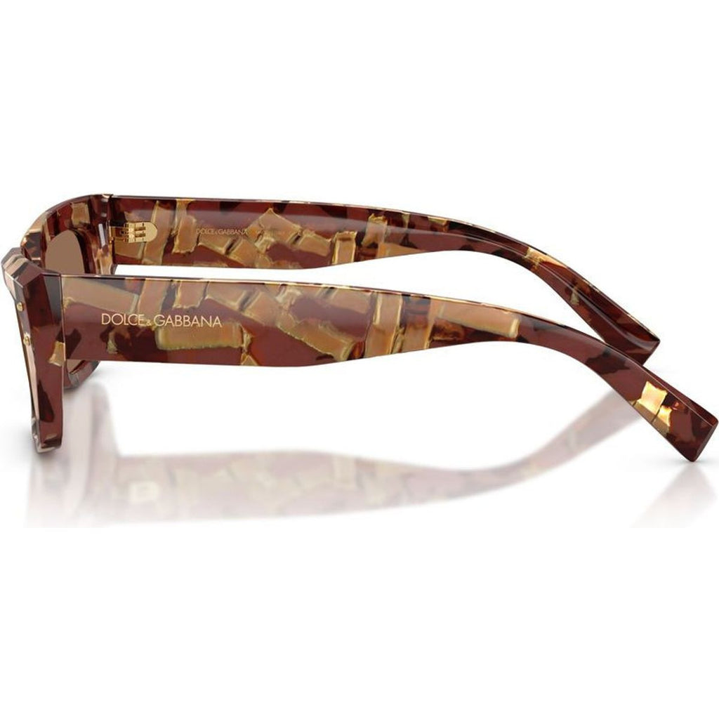 DG4462, Pearl Havana Brown/Dark Brown Lenses