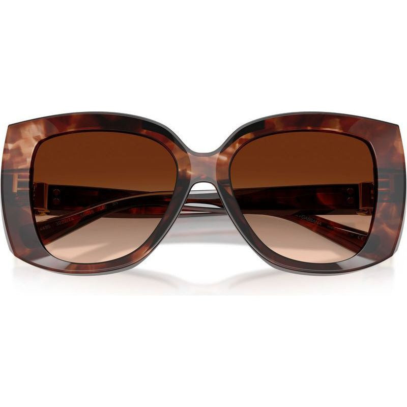 DG4495, Dark Red Havana/Brown Gradient Lenses