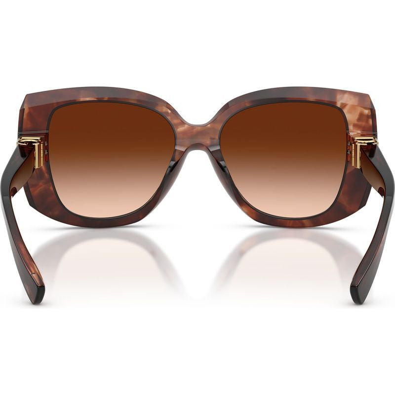 DG4495, Dark Red Havana/Brown Gradient Lenses
