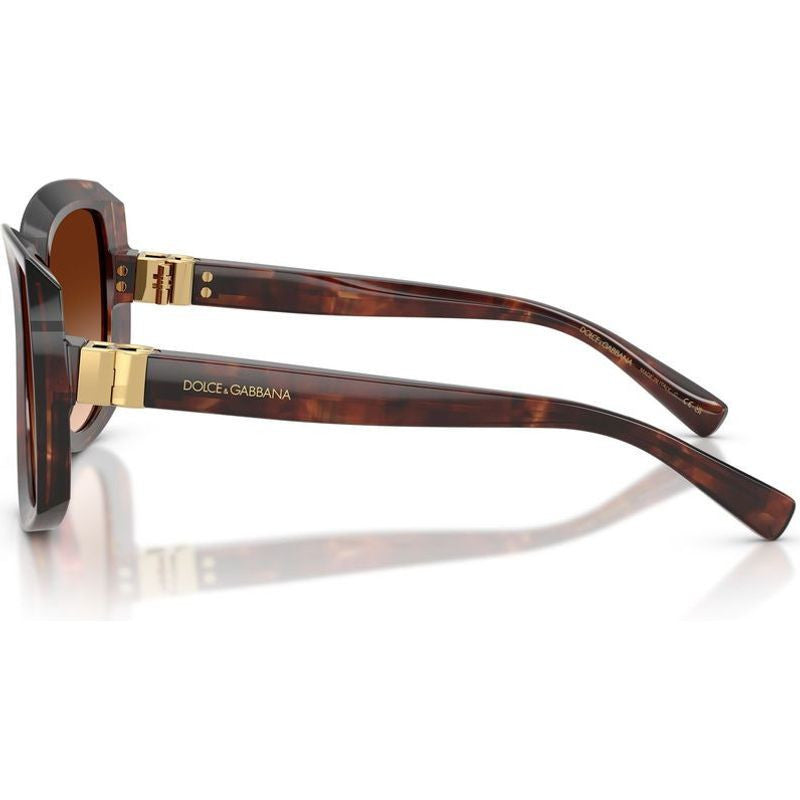 DG4495, Dark Red Havana/Brown Gradient Lenses