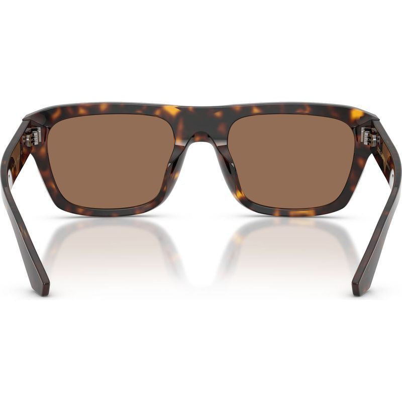 DG4496, Havana/Dark Brown Lenses