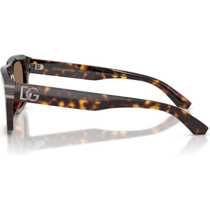 DG4496, Havana/Dark Brown Lenses