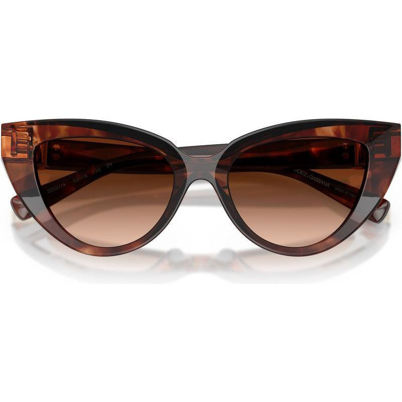 DG4497, Dark Red Havana/Brown Gradient Lenses