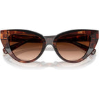 DG4497, Dark Red Havana/Brown Gradient Lenses