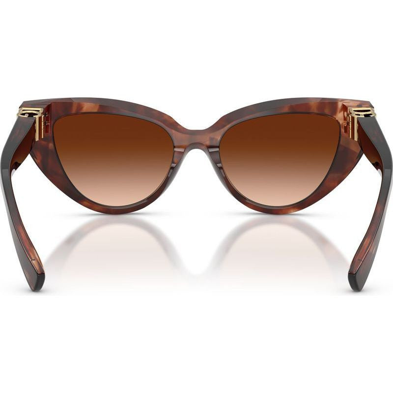 DG4497, Dark Red Havana/Brown Gradient Lenses