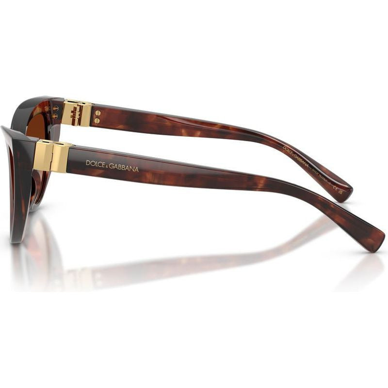 DG4497, Dark Red Havana/Brown Gradient Lenses