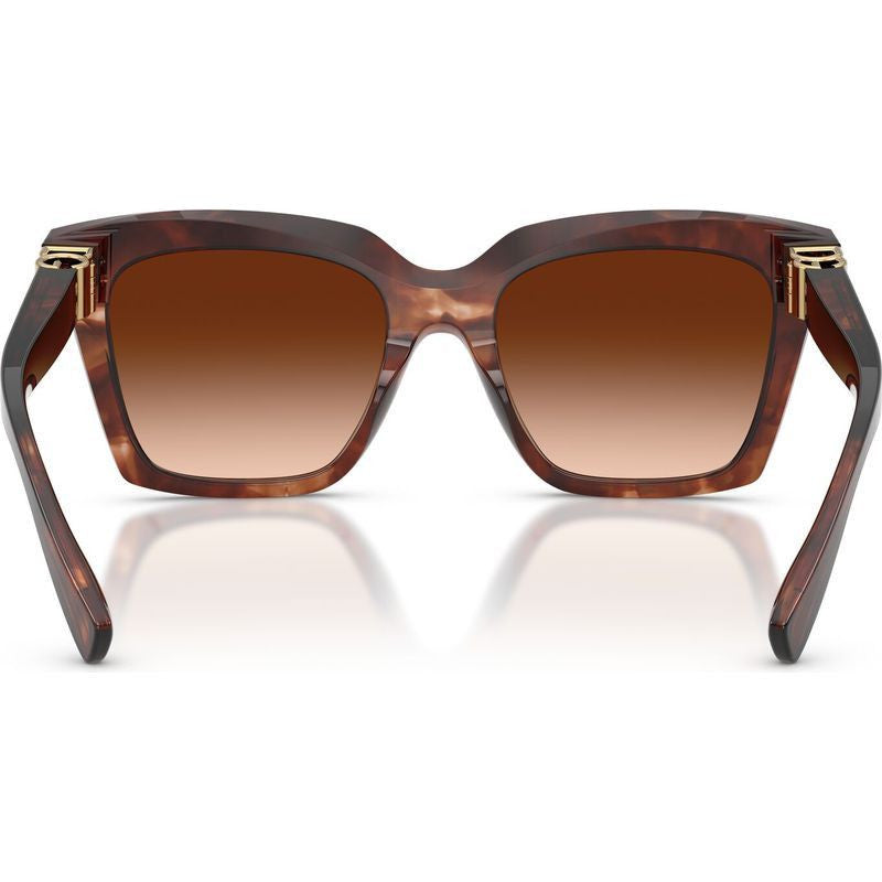 DG4498, Dark Red Havana/Brown Gradient Lenses