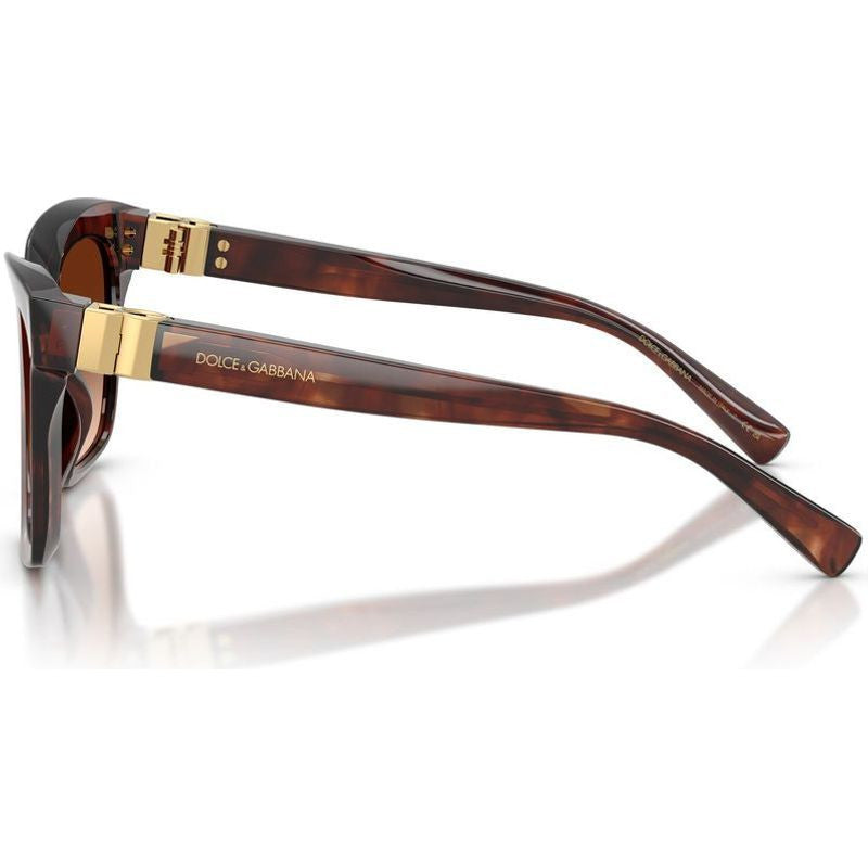 DG4498, Dark Red Havana/Brown Gradient Lenses