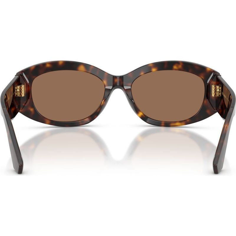 DG4502, Havana/Dark Brown Lenses