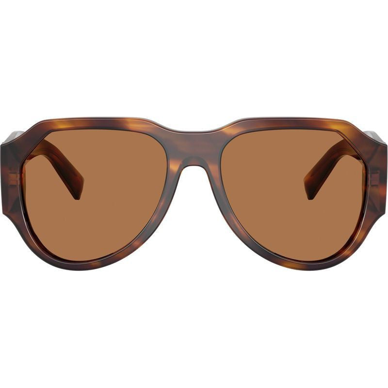 DG4504, Striped Brown/Bronze Lenses