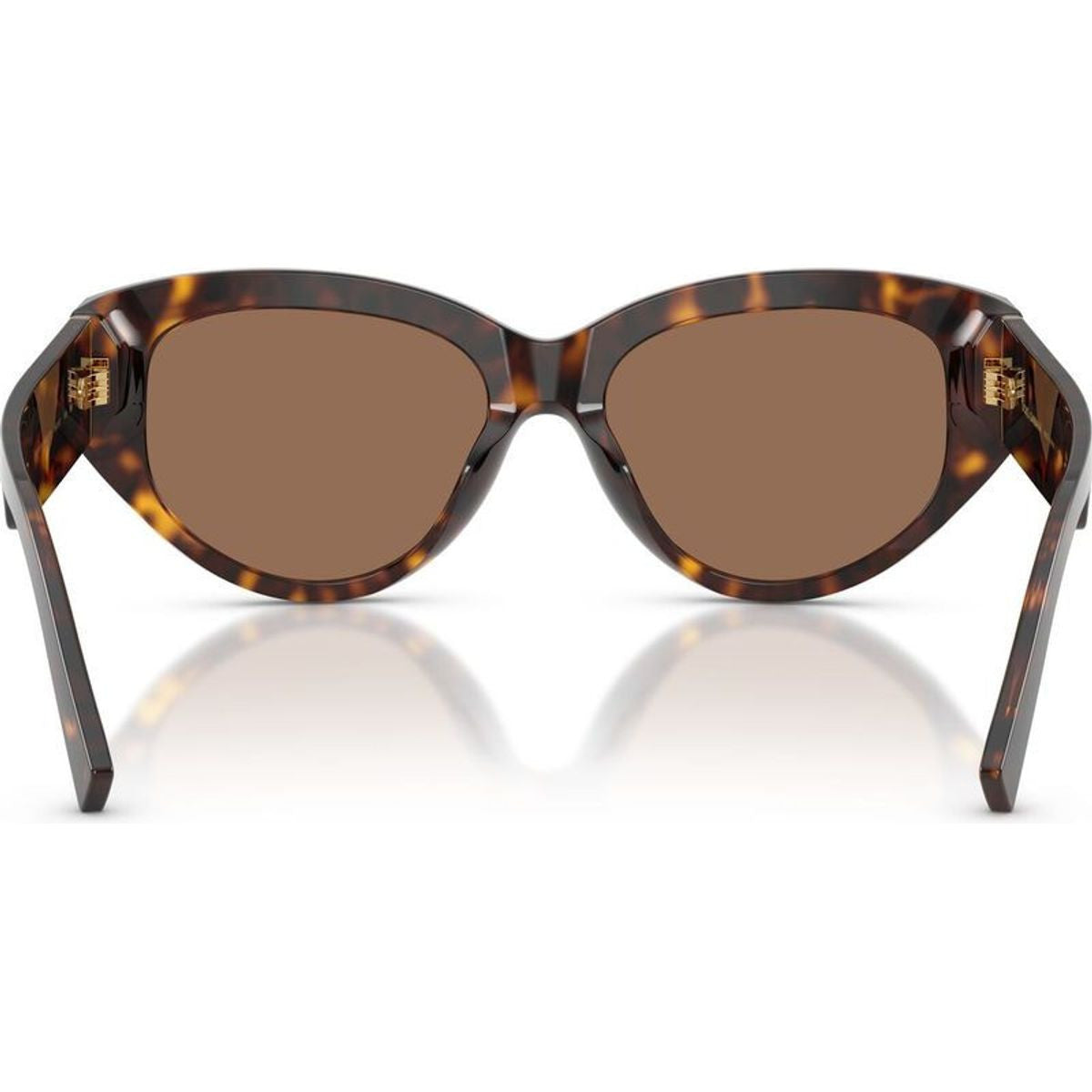 DG4514, Havana/Dark Brown Lenses